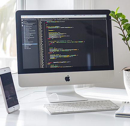 Software Development