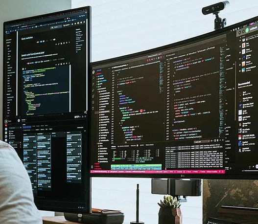 Delivering Custom Solutions for Your Business Needs